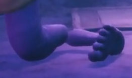 Six