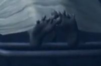 cadavre
